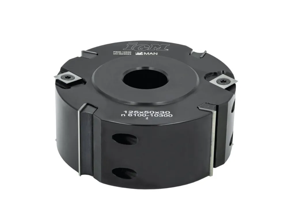 Kup Teď IGM F608 Falcovací fréza s rovnými zuby MAN - D125x50 d30 Z4 V4 ALU